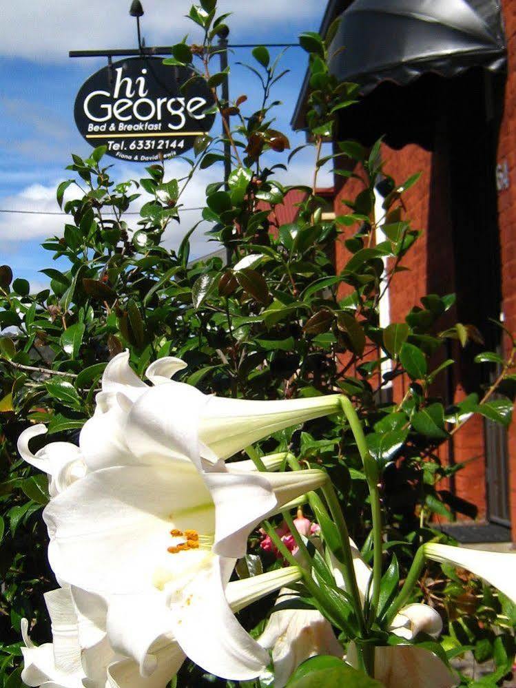 Hi George B&B ลอนเชสตัน ภายนอก รูปภาพ